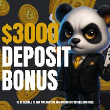 Understanding Crypto Casino Bonuses A Comprehensive Comparison